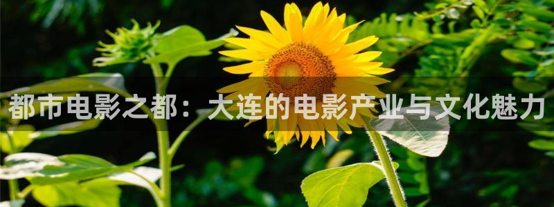 爱丫爱丫影院最新电视剧：都市电影之都：大连的电影产业与文化魅力