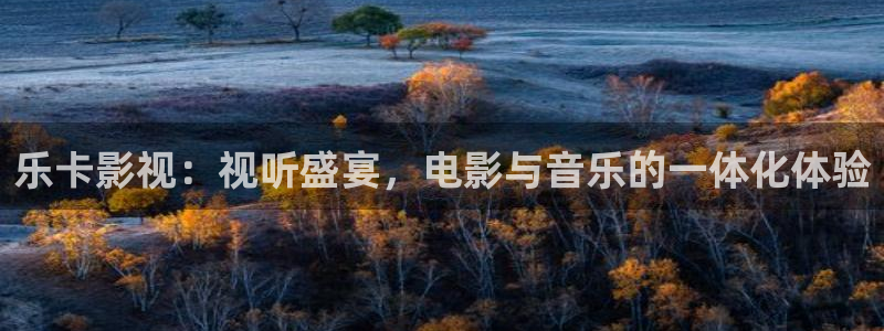 爱丫爱丫成全免费高清电视剧动漫：乐卡影视：视听盛宴，电影与音乐的一体化体验