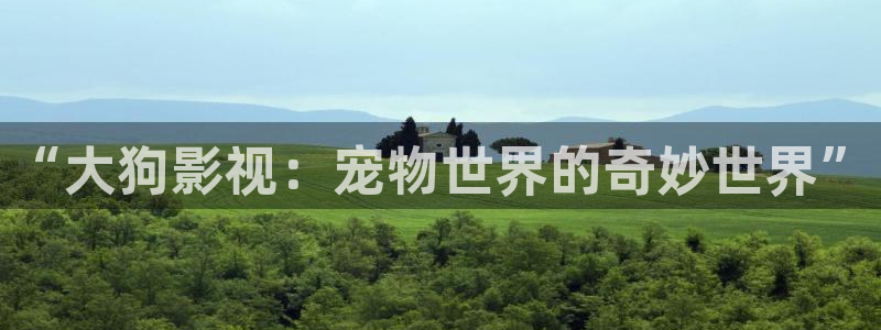 爱丫爱丫电视剧全集免费观看：“大狗影视：宠物世界的奇妙世界”