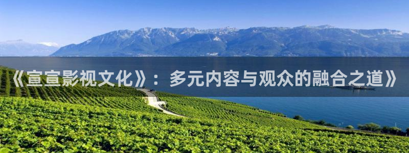 爱丫爱丫免费高清电视剧全集：《宣宣影视文化》：多元内容与观众的融合之道》