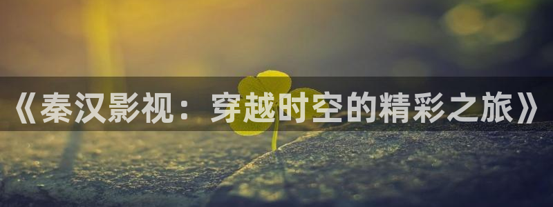 爱丫爱丫成全免费高清电视剧贵州新问：《秦汉影视：穿越时空的精彩之旅》