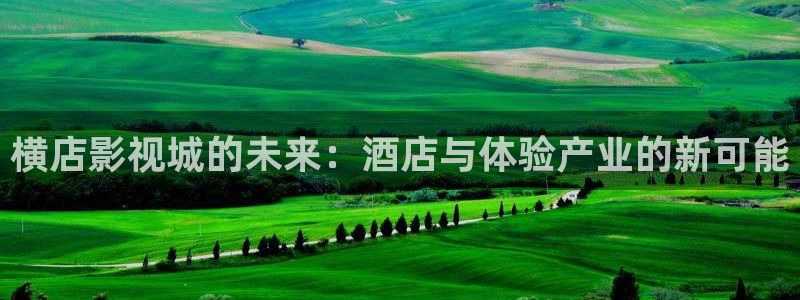 爱丫爱丫兄妹影院电视剧免费动漫：横店影视城的未来：酒店与体验产业的新可能