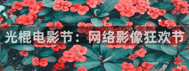 爱丫爱丫影院最新电视剧免费：光棍电影节：网络影像狂欢节