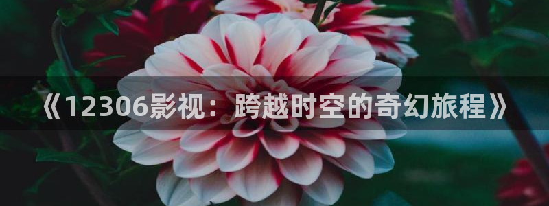 爱丫爱丫兄妹在线电视剧：《12306影视：跨越时空的奇幻旅程》