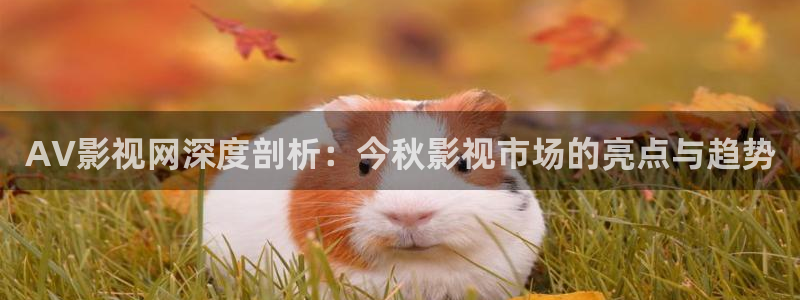 爱丫爱丫在线观看完整：AV影视网深度剖析：今秋影视市场的亮点与趋势