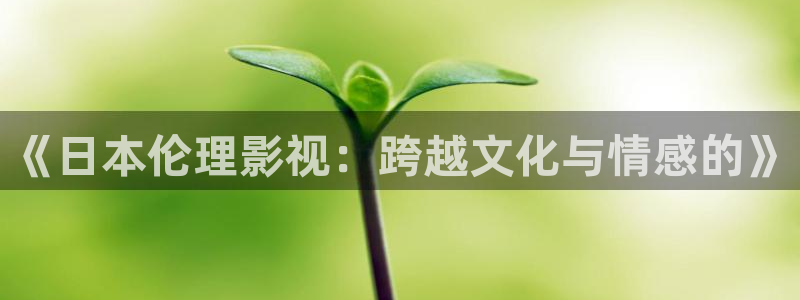 爱丫爱丫在线影院电视：《日本伦理影视：跨越文化与情感的》