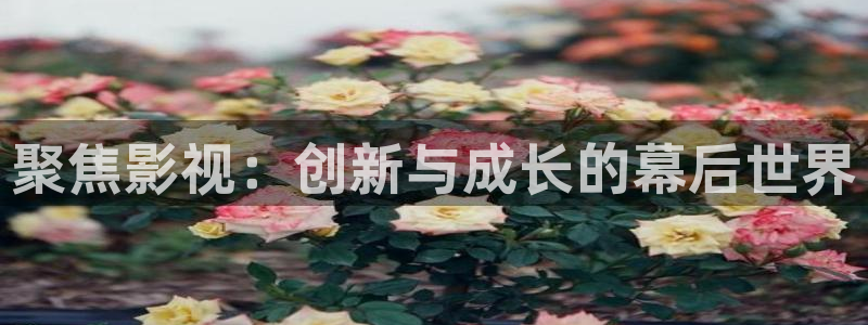爱丫爱丫影院电视剧观看：聚焦影视：创新与成长的幕后世界