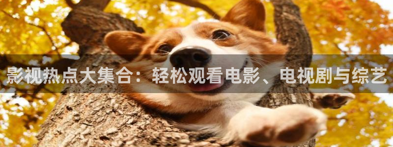 爱丫爱丫兄妹在线影院电视剧丁香花：影视热点大集合：轻松观看电影、电视剧与综艺
